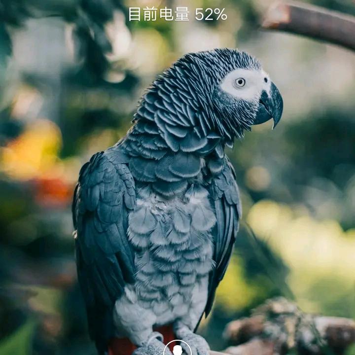 斗友