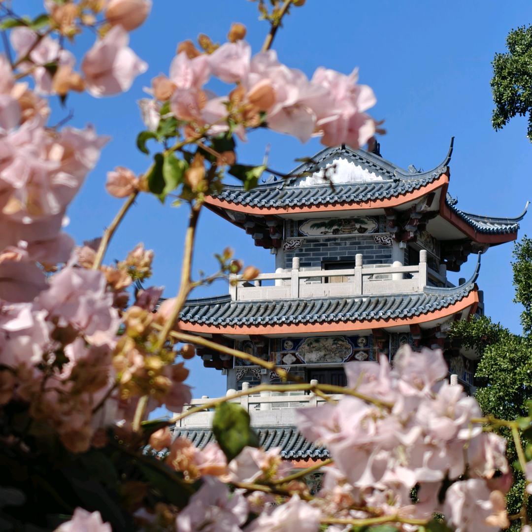 宁雅易居