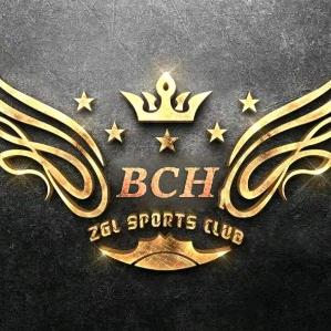 BCH俱乐部•他走了懂吗