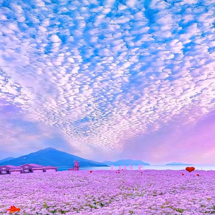 发富
