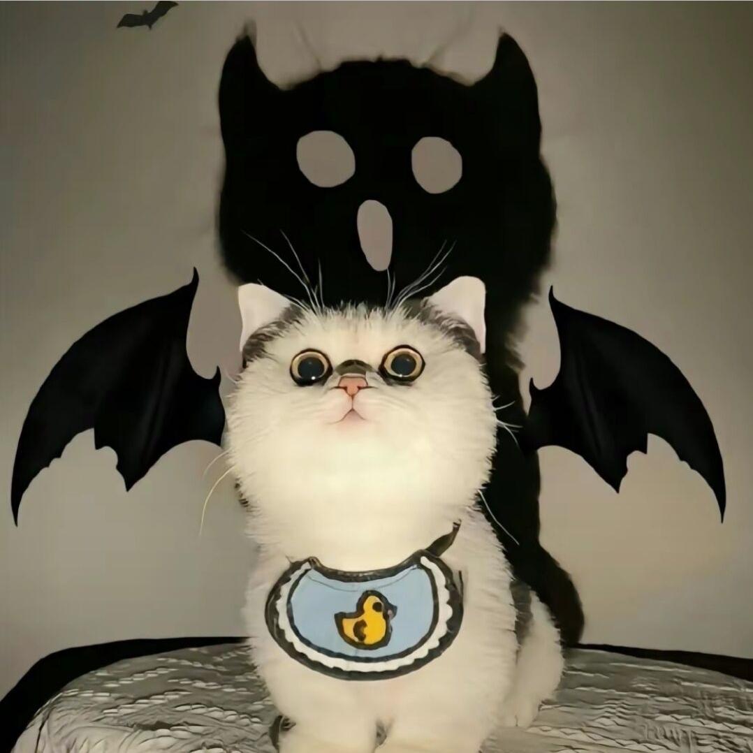 一周困⁸天 🐾