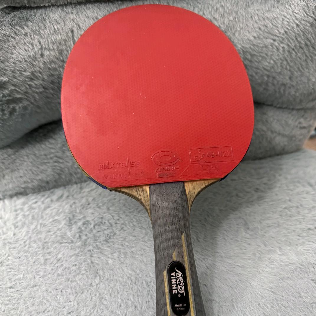 静则已