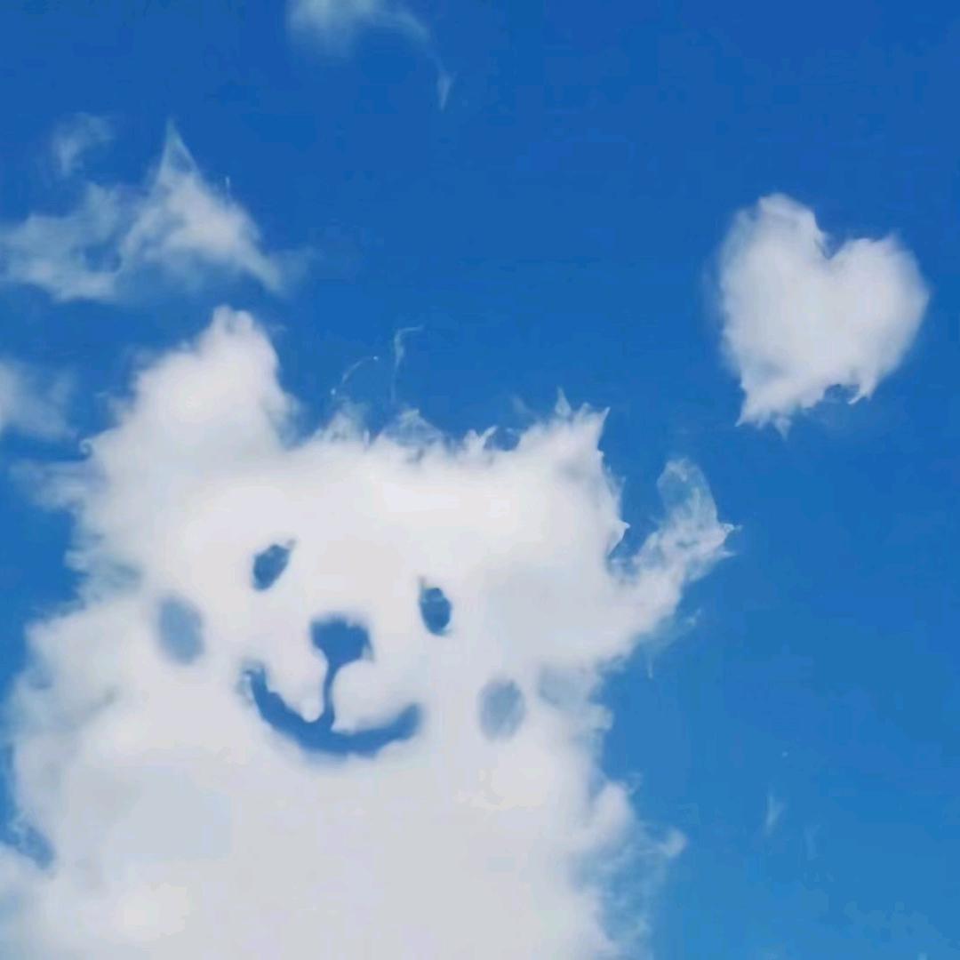我的狗子（互关回关）