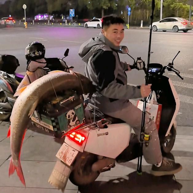 路亚全能钓手