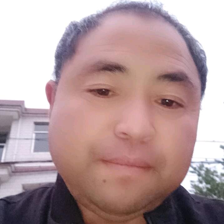 我是树的伙伴？什么