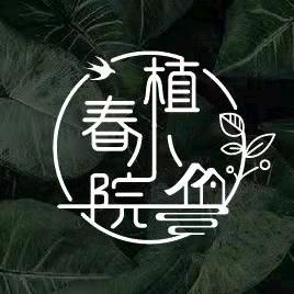 一个红心柚···