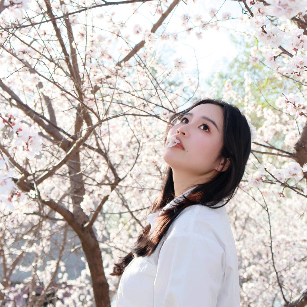 超美减肥大作战