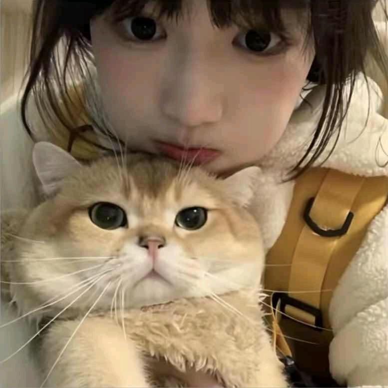 阿台QAQ