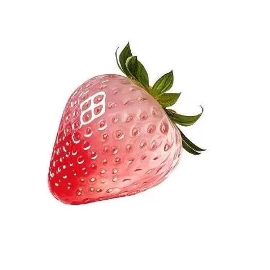 酸Q'🍬（见过白鹿版）