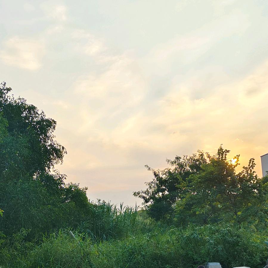 繁华～烟火～阑珊～尘世间《短剧》