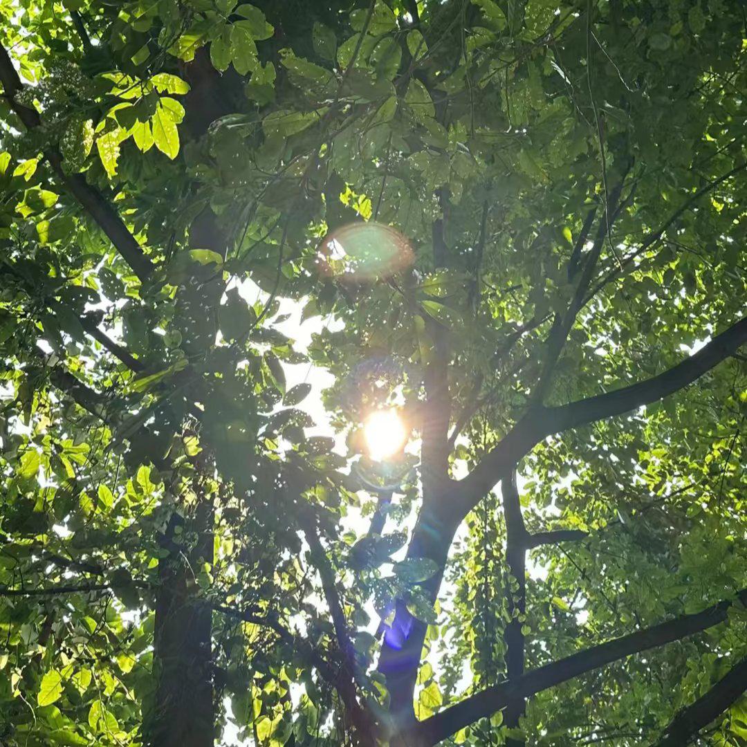 来福