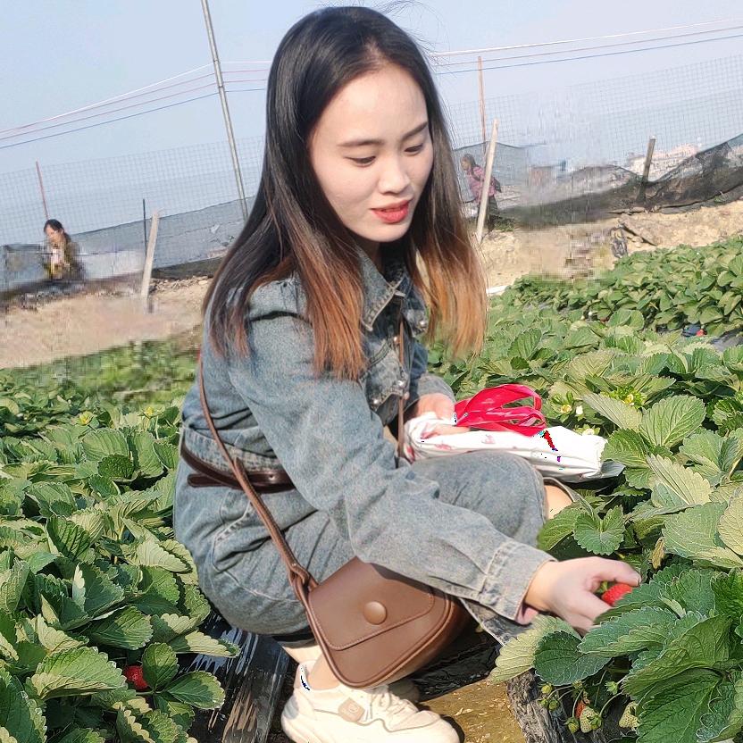 贵州小丽