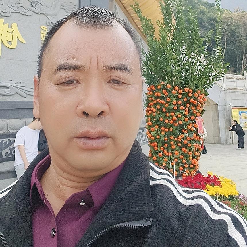 柳成