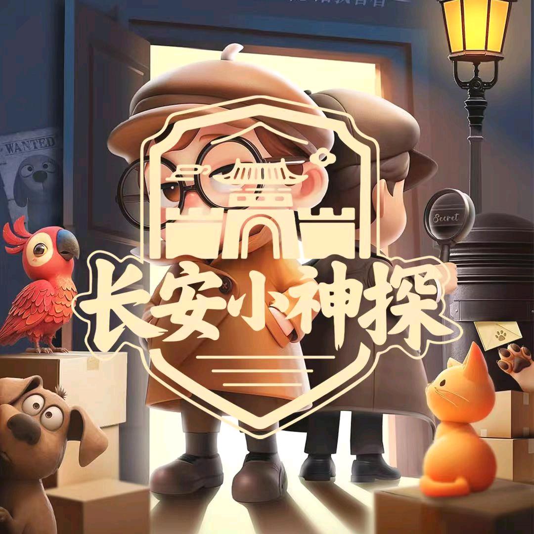 长安小神探