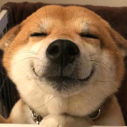 🐮备