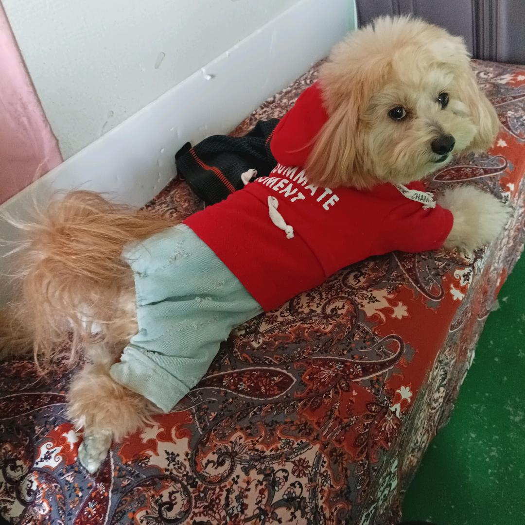 @开心快乐