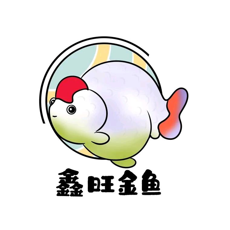 晋州市小谷观赏鱼