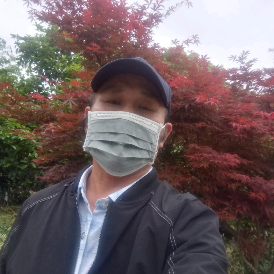 茫茫林海中的孤狼