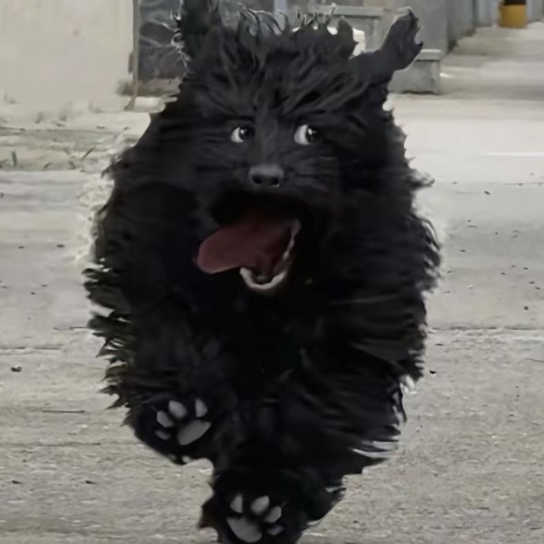 晚来山雨风拂面