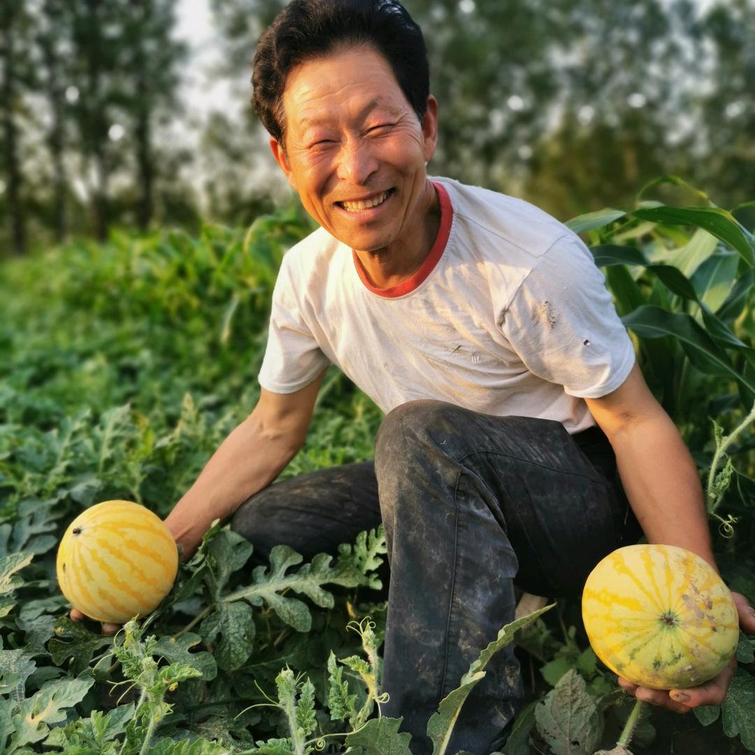 徐州菜哥(晚7点40开播上午不定时开播)