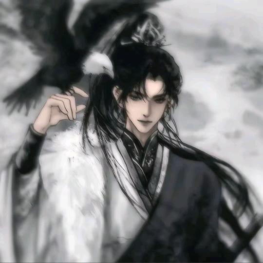 航航动漫