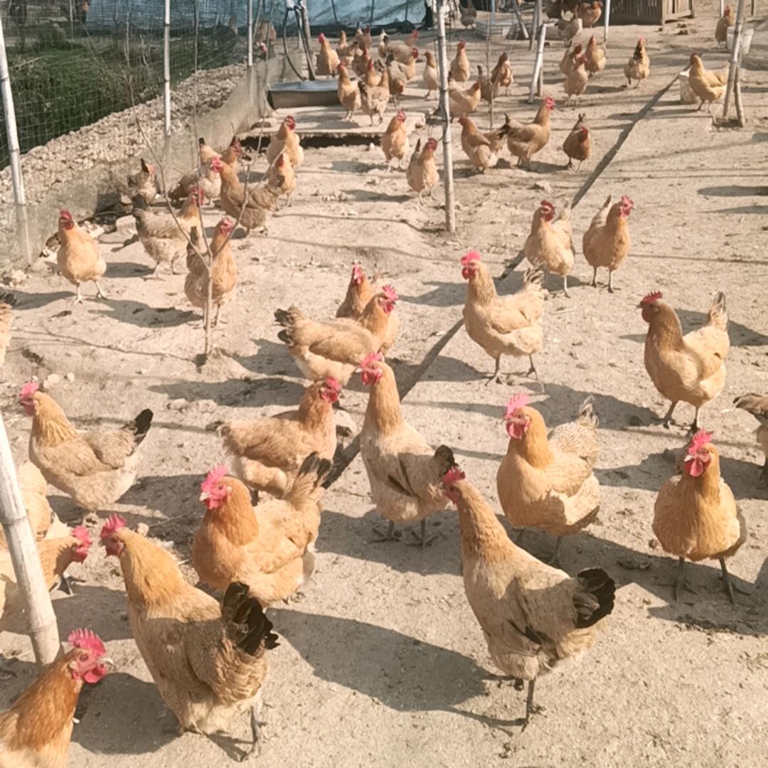 荣之兵家庭农场