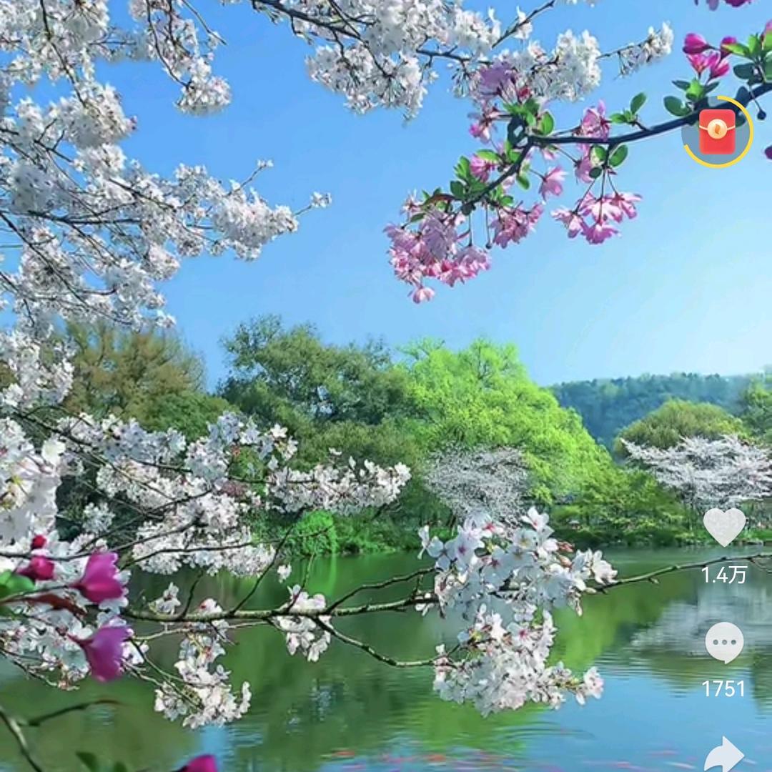 江南岸