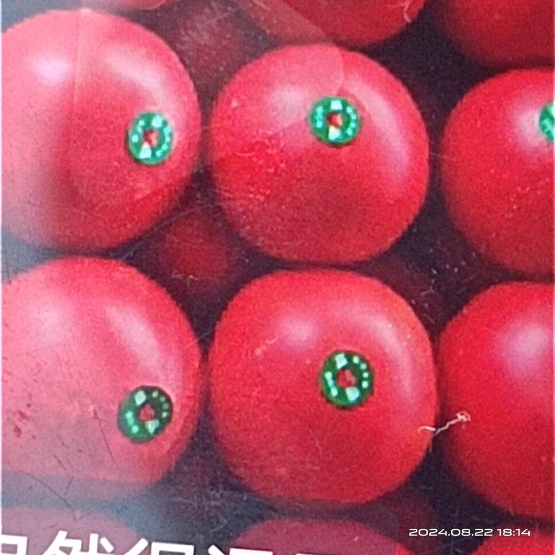 大红西红柿代办