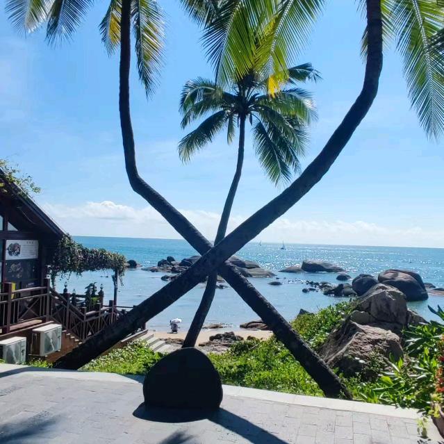 三亚租房找海燕