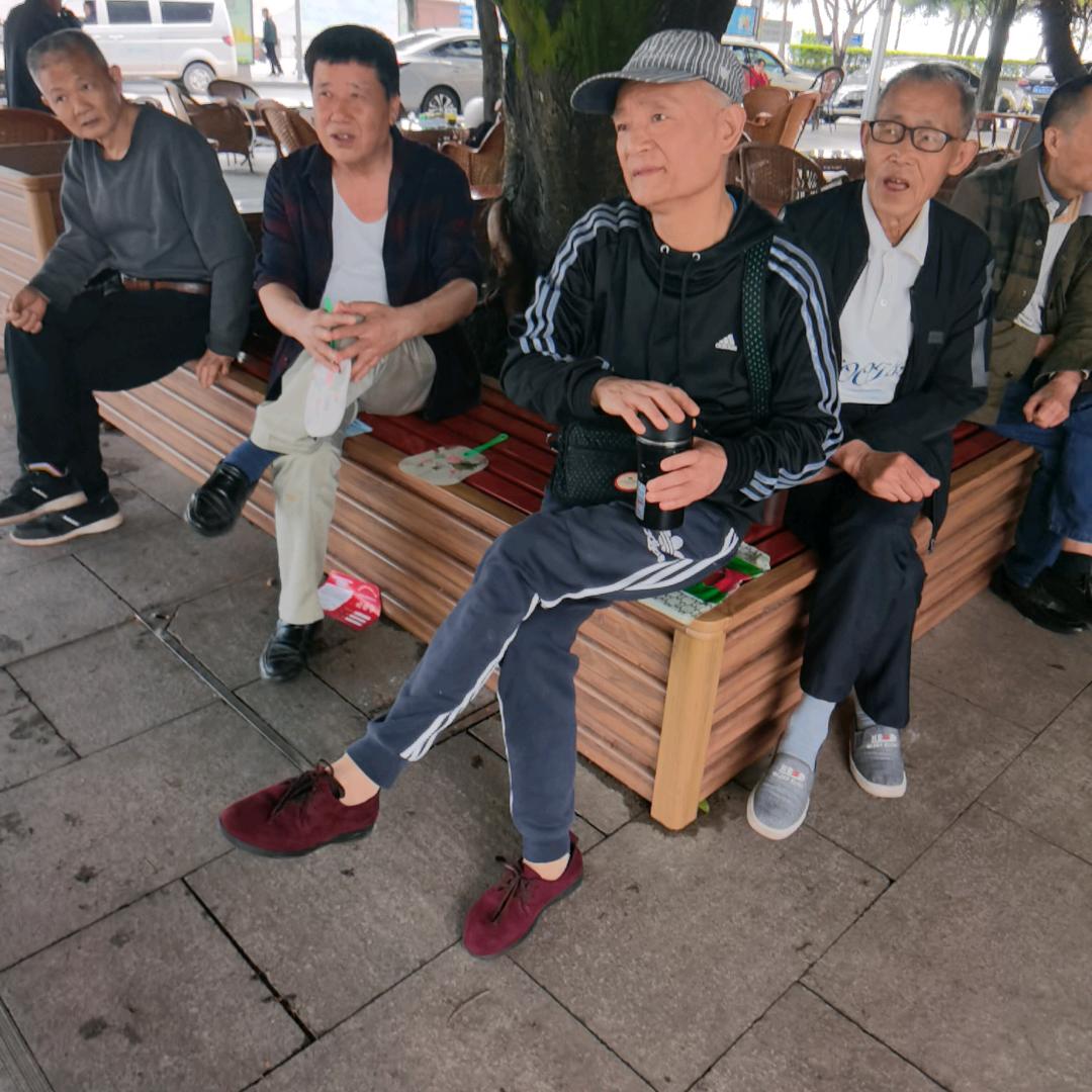 黄桷树下话人间