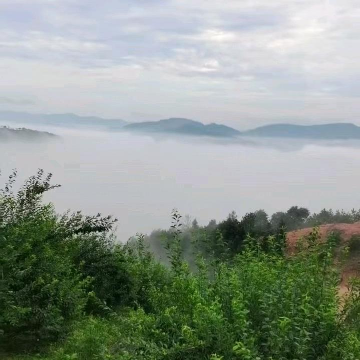 啊侬水果种植场