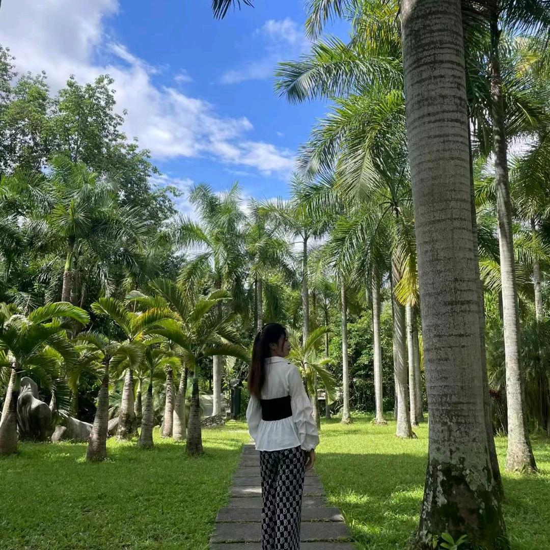 小杨努力中
