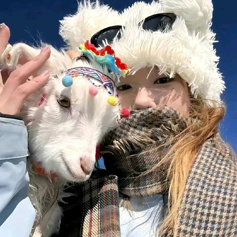 烦恼的巧克力🌱