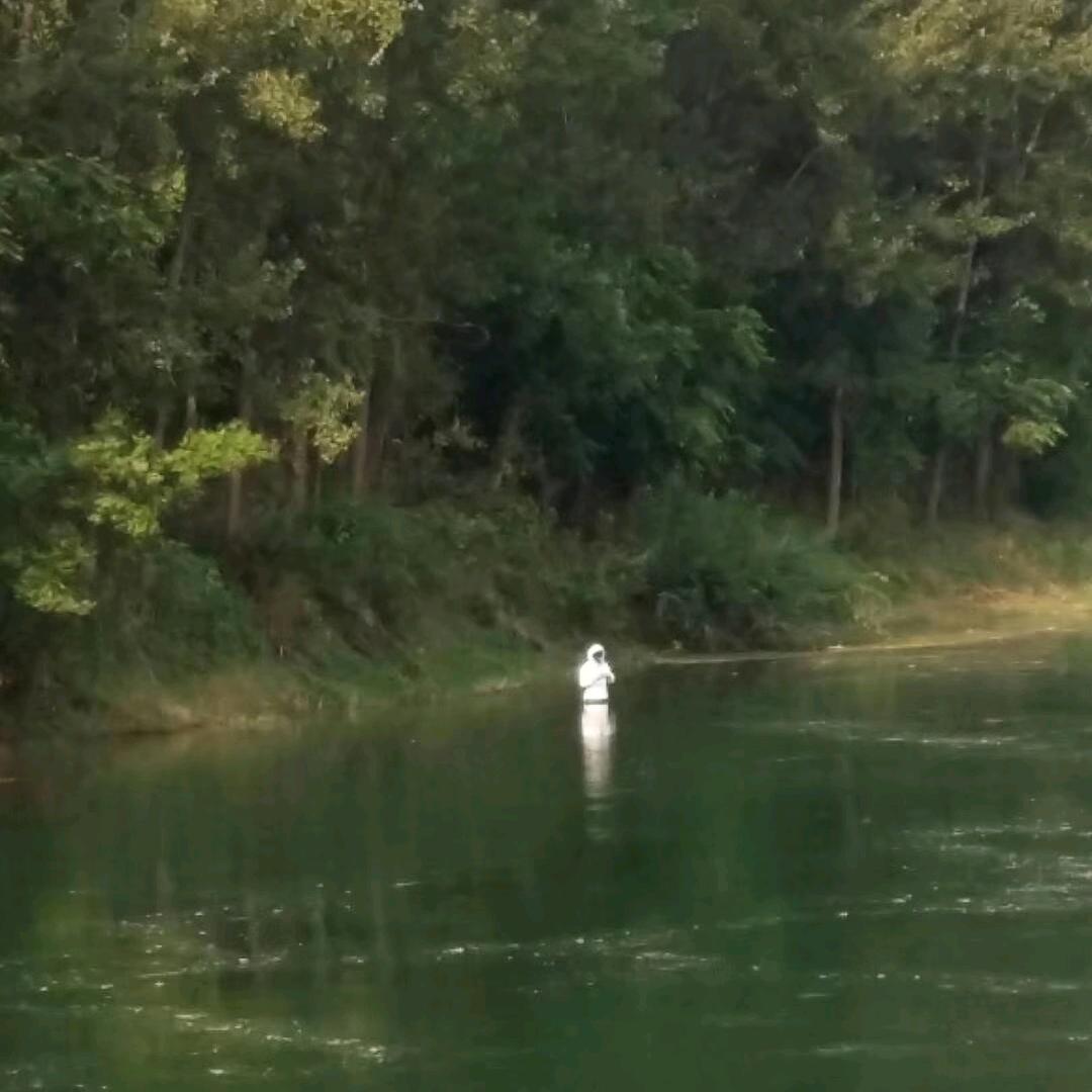 🐠汉江雨🐬