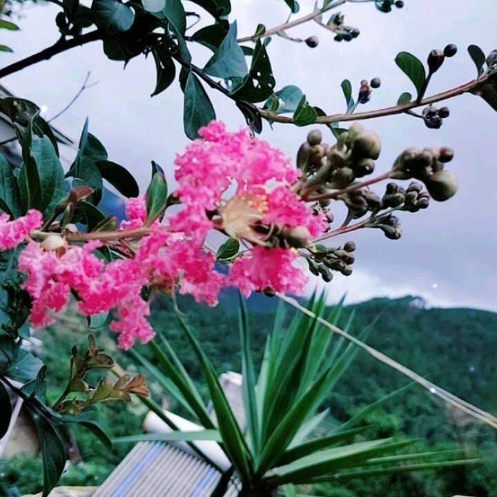 一心只藏你一人