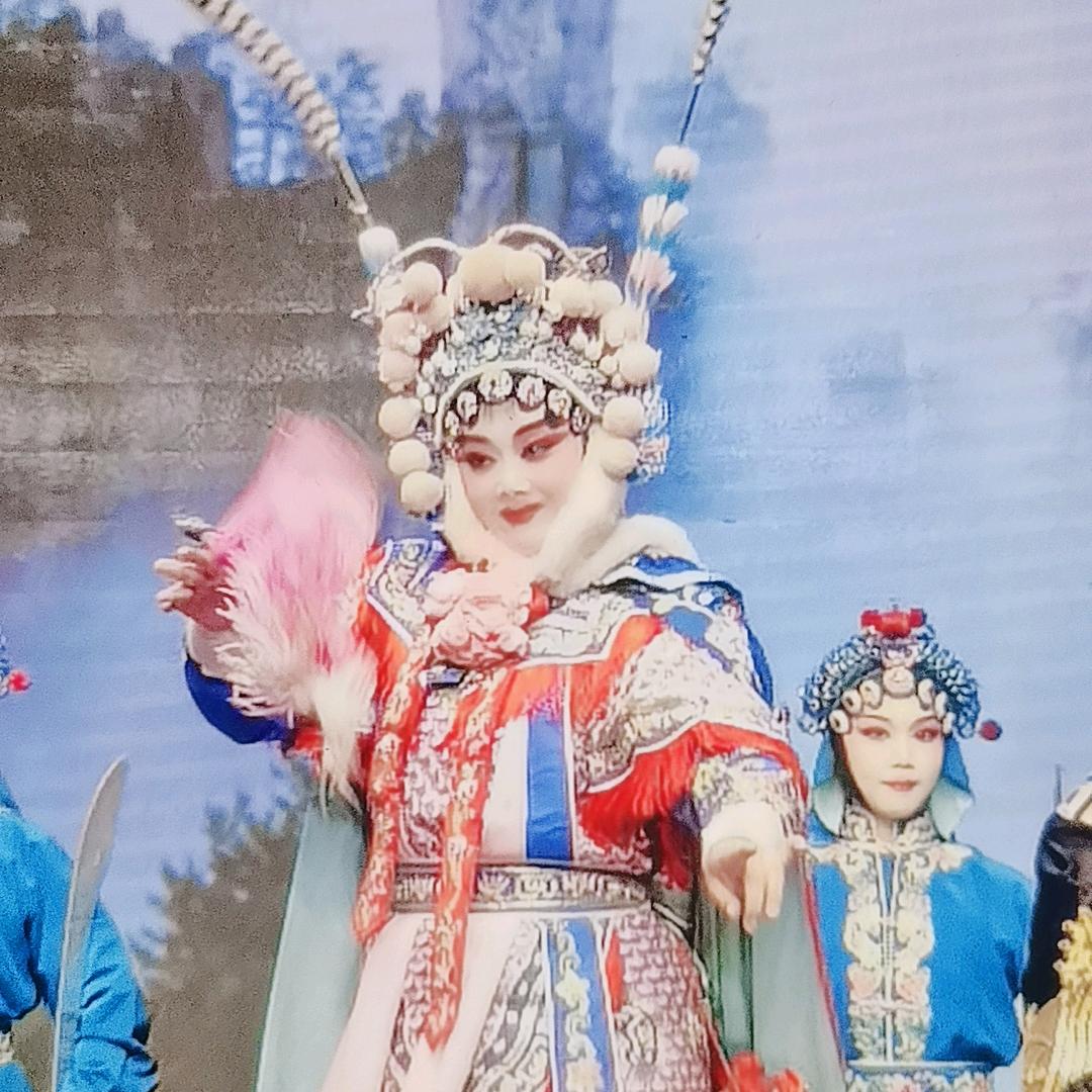 晋剧小董