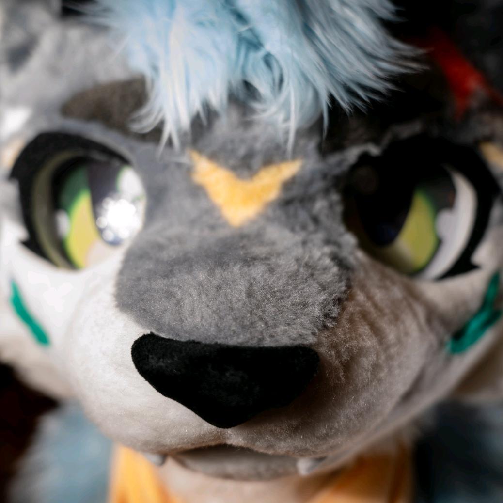 秋祭～（陨狮）