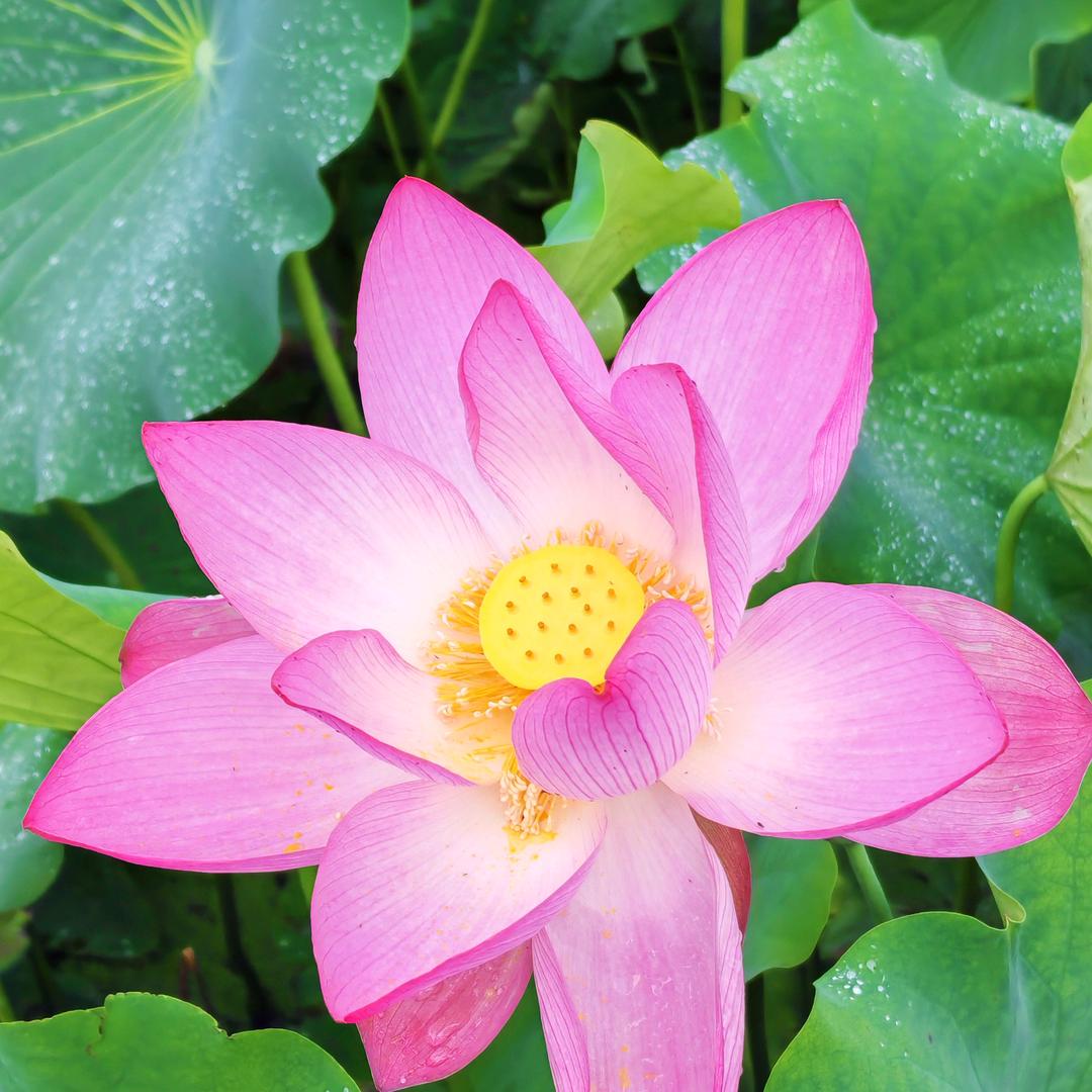 最简单的幸福💞💞