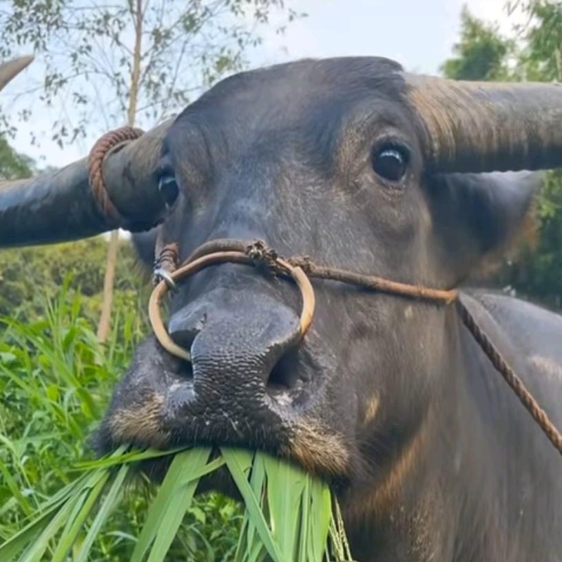 张家界景区门票~汪于又