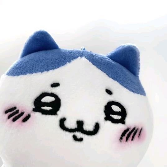 怜怜猫