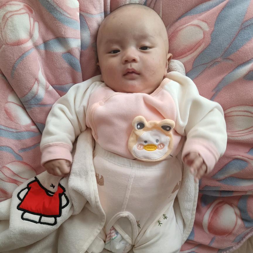 龙龙吖