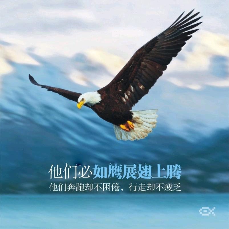 如鹰展翅上腾