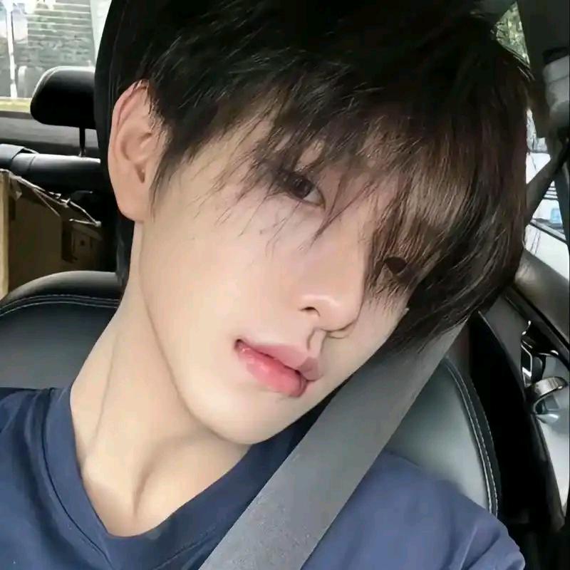 领路人（自招 自带）