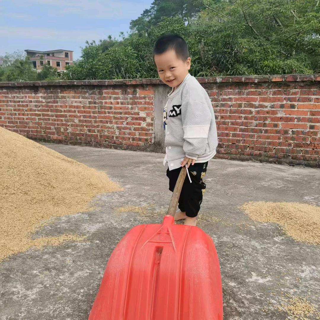 灵山小八哥