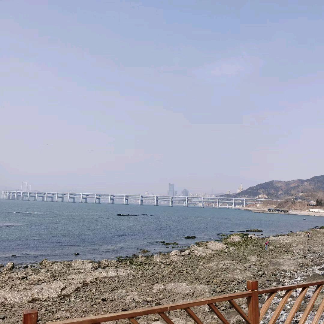 辛梦星河