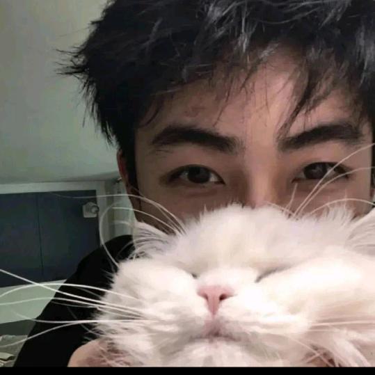 内心