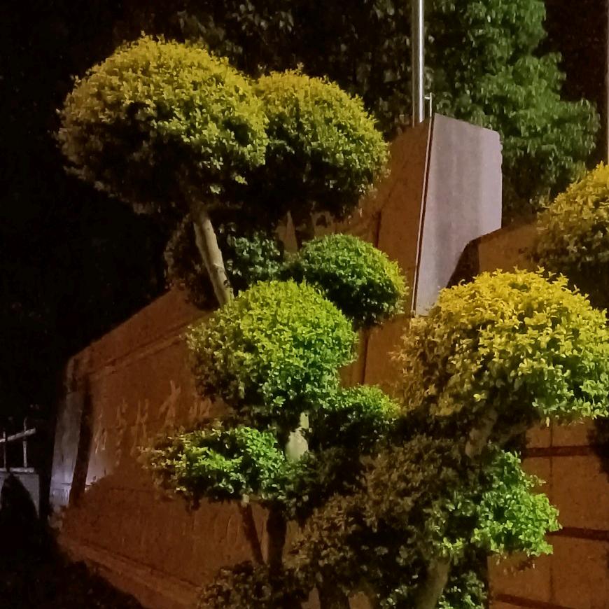 裕河