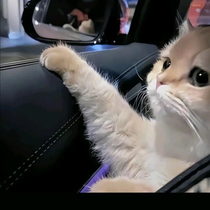 小寒王者荣耀（法刺）