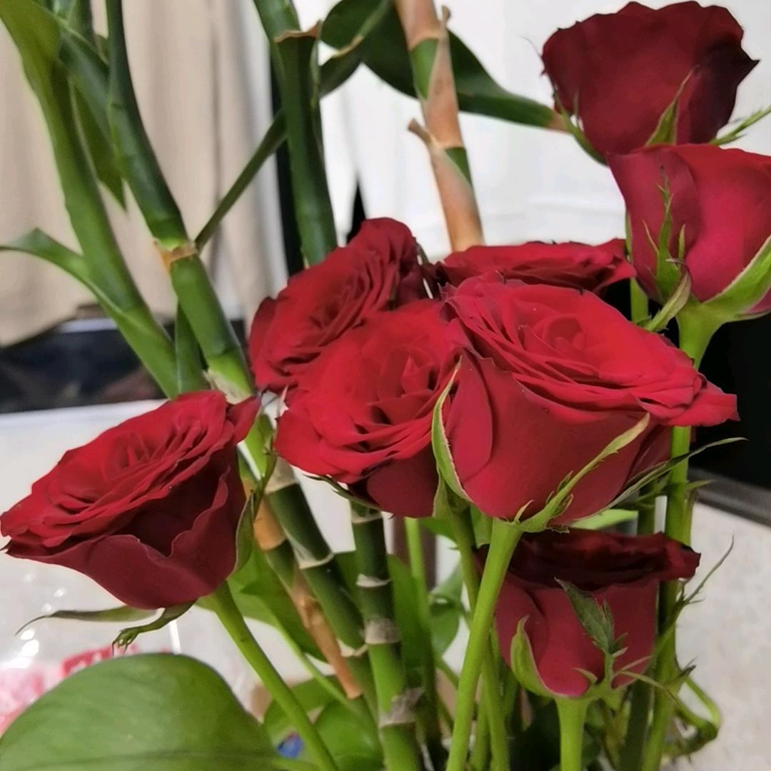 好喜欢我家的宝贝