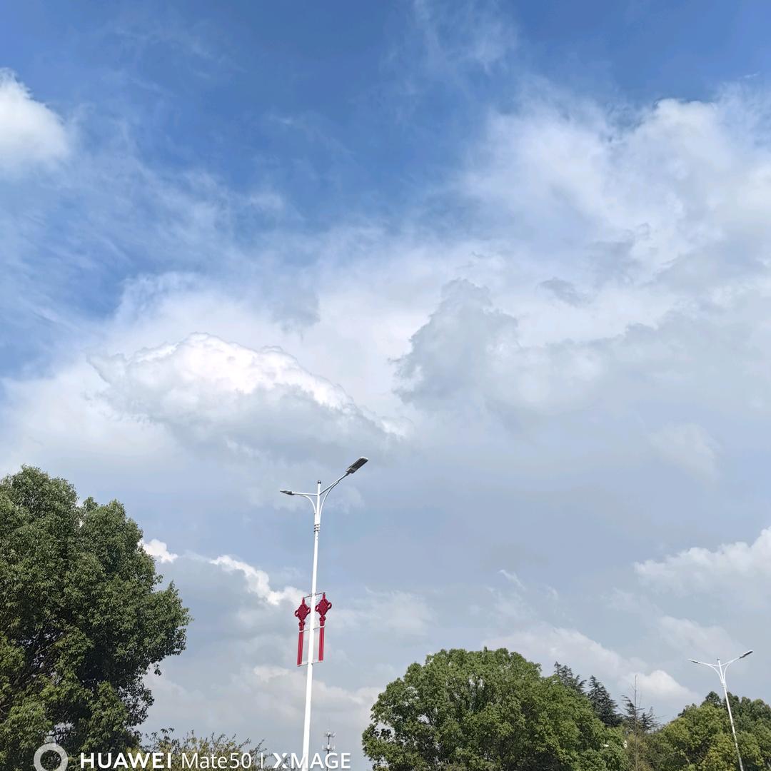 云边有个小卖部
